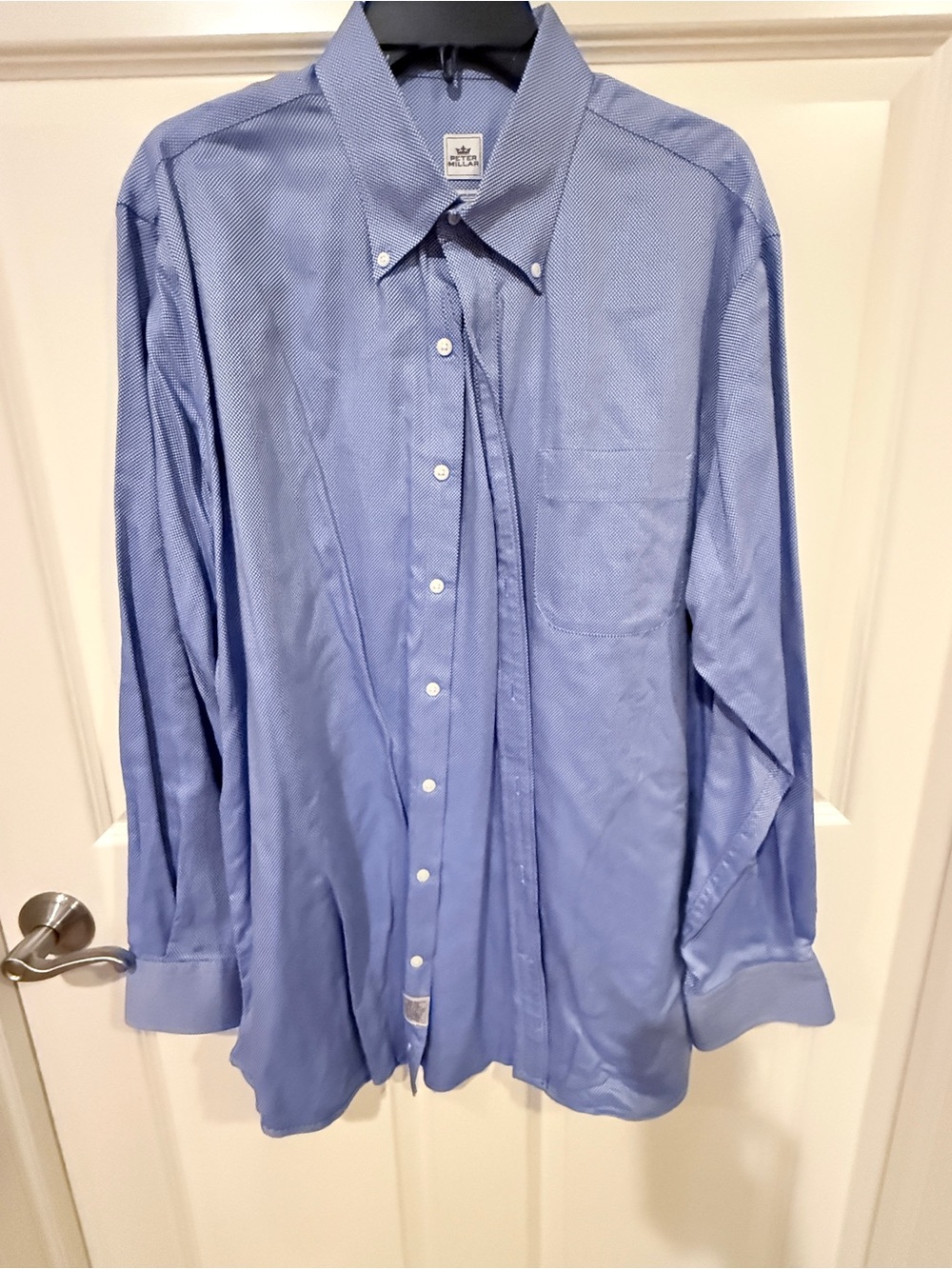 Peter Millar Light Blue Pinpoint Oxford Dress Shirt - Long Sleeve